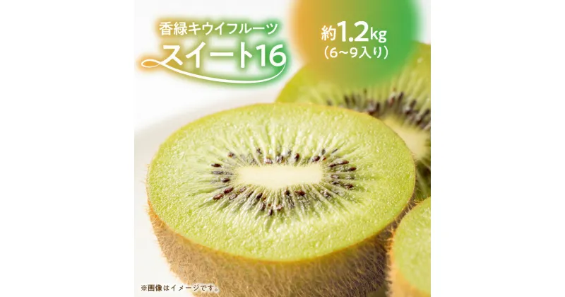 【ふるさと納税】香緑キウイ 期間限定 キウイ 約 1.2kg 認定品 最上級品 スイート16 キウイフルーツ 1箱 三豊市 お取り寄せ お取り寄せフルーツ 食品 食べ物 果物 フルーツ デザート おやつ 朝食 国産 香川産 送料無料 18000円