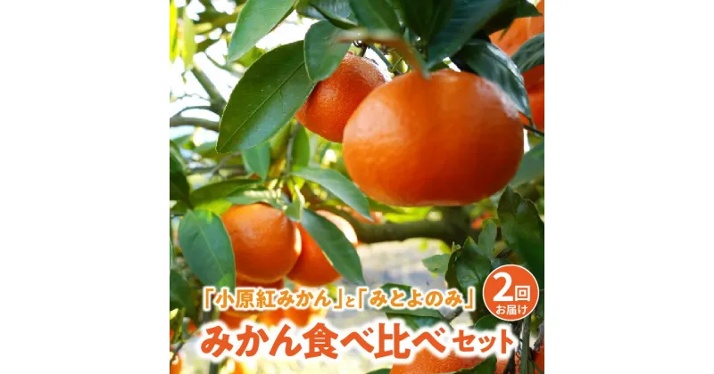 【ふるさと納税】みかん 5kg 2回お届け 香川県 オリジナル品種 小原紅みかん みとよのみ みかん食べ比べ セット【2024年出荷分の予約受付】 旬 柑橘 家庭用 お取り寄せお取り寄せ お取り寄せグルメ フルーツ お取り寄せ 送料無料 29000円