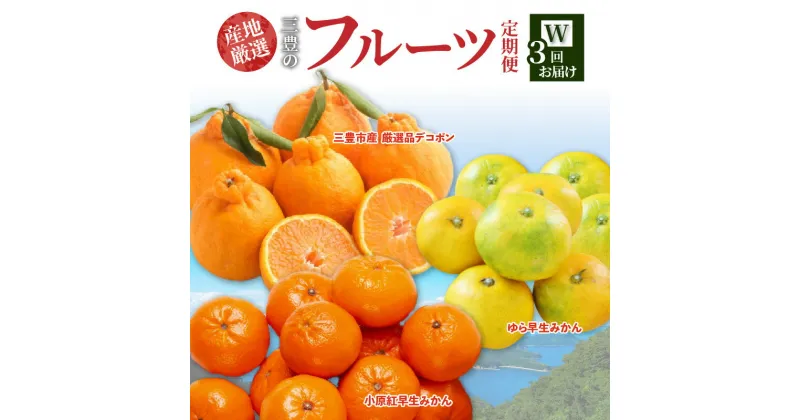 【ふるさと納税】【配送不可地域：北海道・沖縄県・離島】定期便 3回 フルーツ ゆら早生みかん 果汁たっぷり 三豊市産 厳選品デコポン 簡単 美味しく 食べれる 小原紅早生 甘くて濃い 濃厚 オリジナルみかん 旬の季節 お届け 香川県 三豊市 お取り寄せ 送料無料 47000円