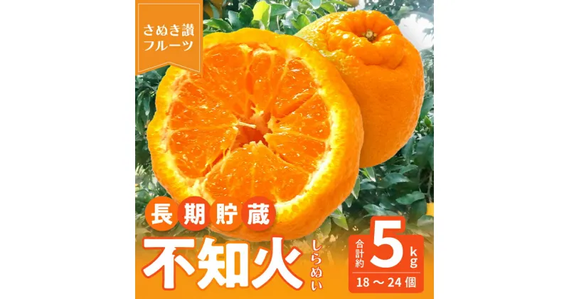 【ふるさと納税】先行予約 不知火 交配 数量 限定 約5kg 18～24 個 清見 中野3号 省加温栽培 柑橘 甘い ジューシー 讃岐 フルーツ 王国 長期貯蔵 高品質 厳選 逸品 冷蔵 老舗 造田商店 香川県 三豊市 送料無料 22000円