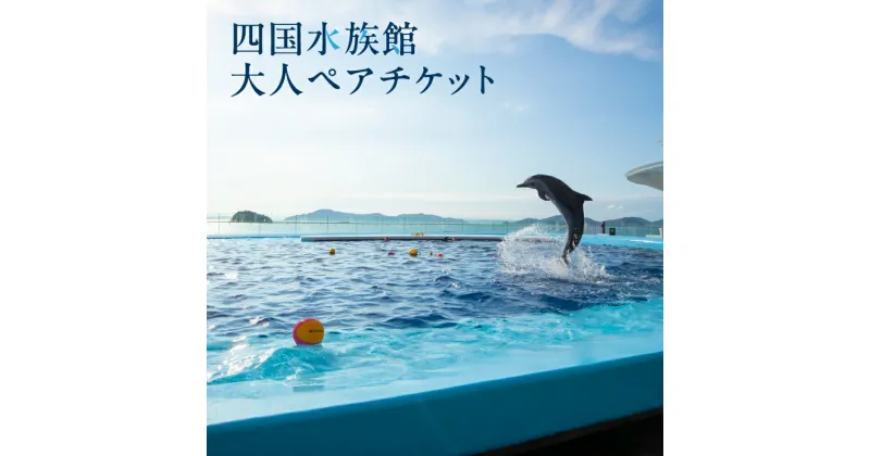 【ふるさと納税】四国水族館 大人 ペアチケット 水族館 四国水景 イルカ 瀬戸内海 旅行 旅 家族旅行 夫婦旅行 恋人 デート 友達 ペア 施設 券 チケット 施設利用券 入館券 入場券 パンフレット 展示 海の生き物 海 海洋生物 魚 観賞 香川県 三豊市 送料無料 16000円