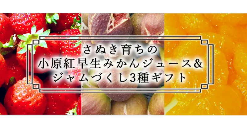 【ふるさと納税】さぬき育ちの小原紅早生みかんジュース&ジャムづくし3種ギフト 詰合せ セット 詰め合わせ みかんジュース いちごジャム いちじく コンフィチュール みかん いちご 贈り物 贈答 贈答用 プレゼント ギフト 感謝 気持ち おすすめ ファミリー 三豊市 送料無料