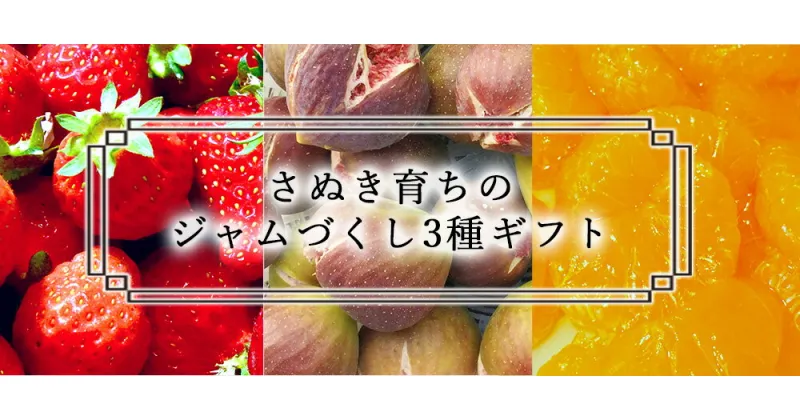 【ふるさと納税】さぬき育ちのジャムづくし3種ギフト 詰合せ セット 詰め合わせ いちごジャム コンフィチュール みかん いちご いちじく 贈り物 贈答 贈答用 プレゼント ギフト 感謝 気持ち おすすめ ファミリー 香川県 三豊市 送料無料 12000円