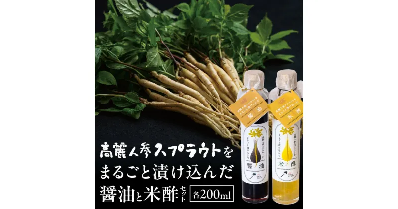 【ふるさと納税】高麗人参スプラウトをまるごと漬け込んだ醤油と米酢セット 高麗人参 高麗 人参 スプラウト 漬け込み 醤油 米酢 酢 調味料 調味 ドレッシング 炒め物 料理 普段使い 食事 食生活 薬膳 薬膳醤油 薬膳米酢 お取り寄せ おすすめ 香川県 三豊市 送料無料 22000円