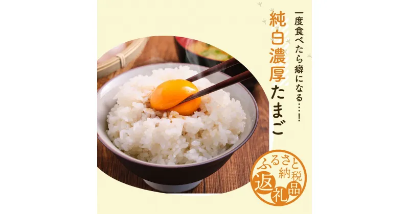 【ふるさと納税】三豊で取れた『おいしーの食べて育ったおいしー卵』40個×6回(奇数月)(35個＋割れ補償5個込み) 一度食べたらやみつき！三豊の白珠たまご 純白の濃厚たまごで贅沢な朝を 自然の恵みをそのままに、三豊の白珠たまご 三豊の自慢、純白のたまご 60000円