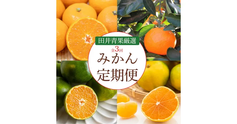 【ふるさと納税】【3回定期便】三豊のみかん【定期便】5kg　直送で届く、毎回新鮮！みかん定期便の楽しみ、甘さと鮮度、第3回目もお約束。みかん定期便で健康を、季節ごとの味わいを、定期便で。みかんの旬をお届け、田井青果厳選、みかんの魅力を定期便で直送！