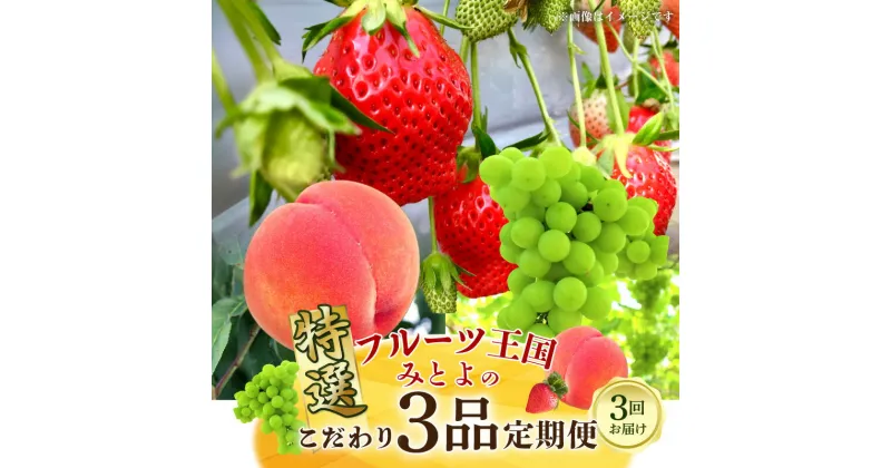 【ふるさと納税】定期便 フルーツ王国 みとよ 特選 3回お届け フルーツ 食べ比べ いちご 化粧箱 さぬきひめ 女峰 高糖度 もも あかつき 大玉 シャインマスカット 瀬戸内 果物 果実 定期 旬 ギフト おすすめ ご褒美 デザート グルメ 香川県 三豊市 送料無料 94000円 高級