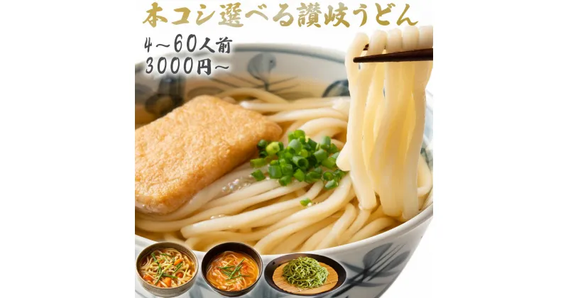 【ふるさと納税】この道20年の讃岐うどんのプロが作る！ 選べる 4食～40食セット 讃岐うどん カレーうどん キムチうどん 茶ざる お家で簡単！4つの味から選べる本格うどんセット ギフト さぬきうどん ウドン 饂飩 1万円以下 10000円以下 3000円 5000円 7000円 10000円