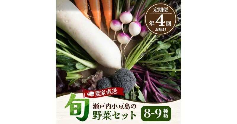 【ふるさと納税】瀬戸内小豆島の旬野菜セット 農家直送 年4回お届け　定期便・野菜・セット・詰合せ・頒布会　お届け：1月・4月・7月・10月