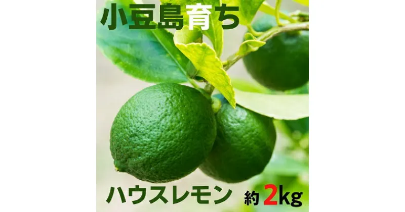 【ふるさと納税】小豆島ハウスレモン 約2kg　果物類・フルーツ・柑橘類・レモン・檸檬　お届け：2024年9月中旬～2024年11月下旬