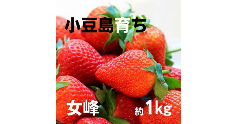 【ふるさと納税】小豆島のいちご（女峰）4パック　果物類・いちご・苺・イチゴ・女峰　お届け：2024年12月上旬～2025年1月下旬