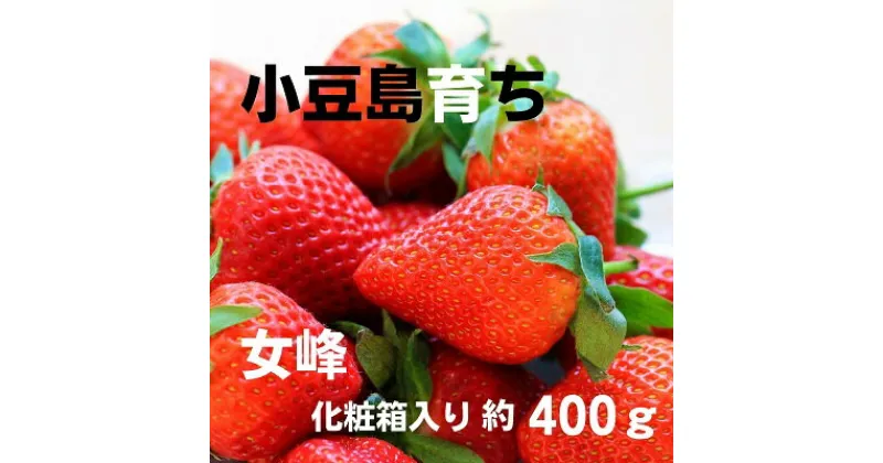 【ふるさと納税】小豆島のいちご（女峰）400g 化粧箱入り　果物類・いちご・苺・イチゴ・女峰　お届け：2024年12月上旬～2025年1月下旬