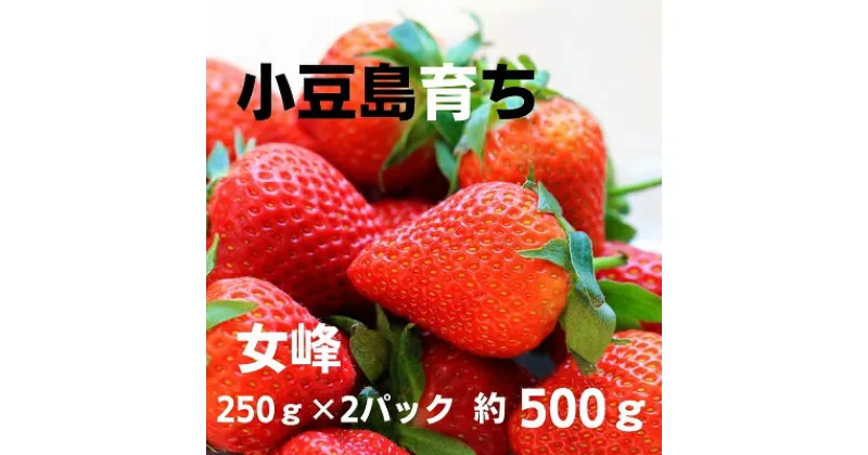 【ふるさと納税】小豆島のいちご（女峰）DXパック［ 250g×2パック］　果物類・いちご・苺・イチゴ・女峰　お届け：2024年12月上旬～2025年1月下旬