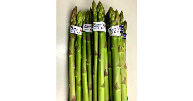 【ふるさと納税】香川のアスパラ【さぬきのめざめ】春芽 約1kg　アスパラガス・野菜　お届け：2025年2月下旬～2025年5月下旬