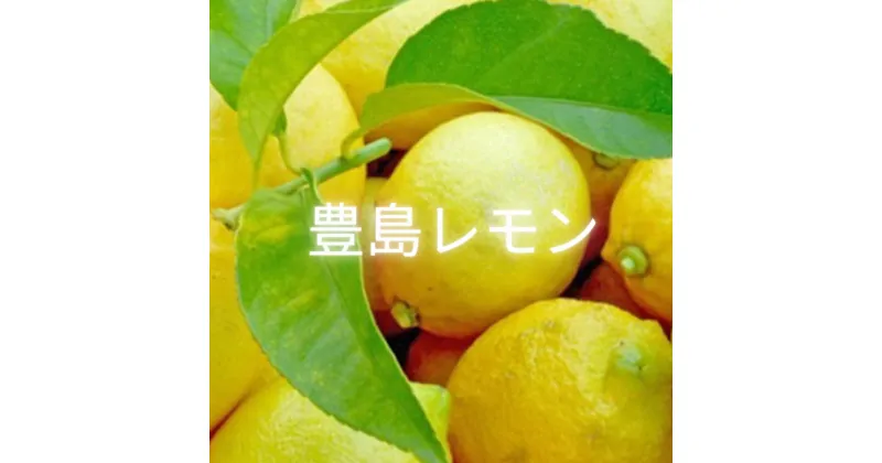 【ふるさと納税】豊島レモン2.5キロ【12月上旬発送開始】　果物類・柑橘類・レモン・檸檬・フルーツ　お届け：2024年12月上旬～2024年1月下旬頃