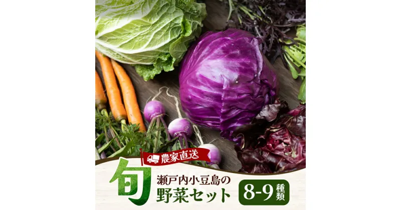 【ふるさと納税】瀬戸内小豆島そだちの旬野菜セット 農家直送　野菜・セット・詰合せ・旬野菜セット