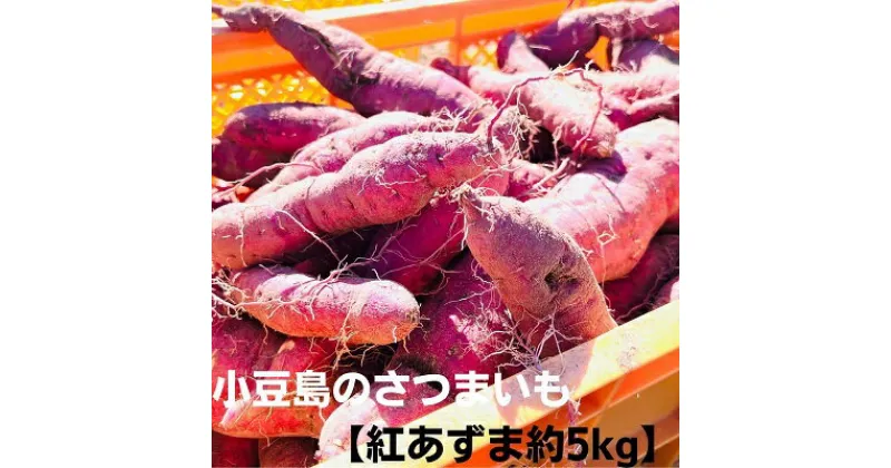 【ふるさと納税】小豆島のさつまいも【紅あずま約5kg】　野菜・イモ・サツマイモ・さつまいも・紅あずま　お届け：2024年10月中旬～11月下旬頃