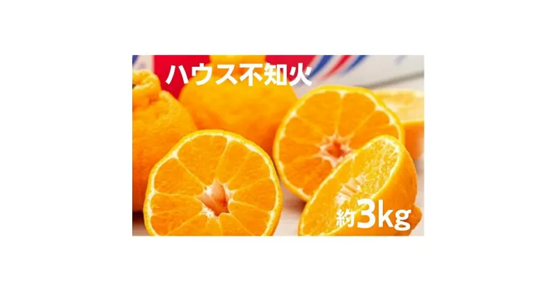 【ふるさと納税】ハウス 不知火　約3kg 化粧箱　柑橘類・フルーツ・果物類・ゆず・柚子　お届け：2024年12月中旬～2025年2月下旬