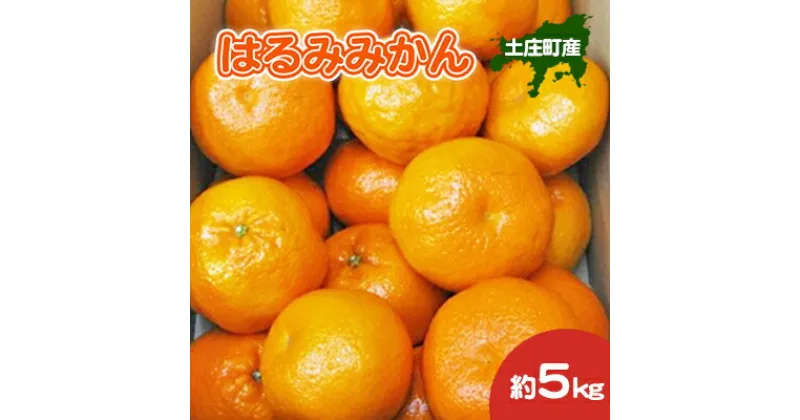 【ふるさと納税】はるみみかん　約5kg　 果物類 柑橘類 ぽんかん 清見 はるみ 甘み ジューシー 剥きやすい 食べやすい 　お届け：2025年2月下旬～2025年3月上旬