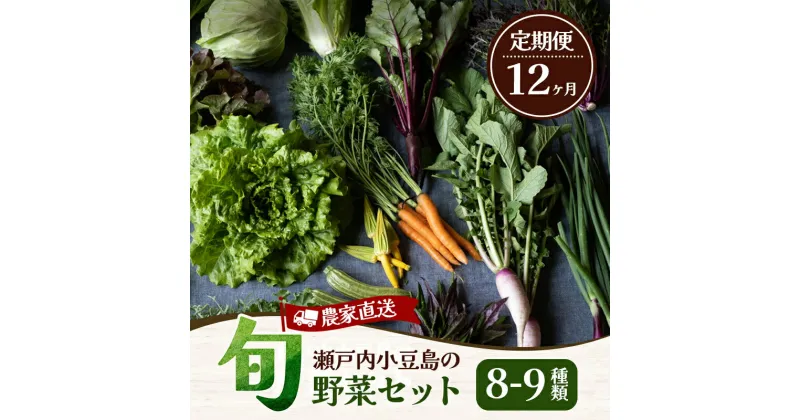 【ふるさと納税】瀬戸内小豆島の旬野菜セット 農家直送 年12回お届け　定期便・ 野菜詰め合わせ 食材 オーガニック農園 新鮮野菜 旬の野菜 朝収穫 当日発送 採れたて 採れたて野菜 ベジタブル