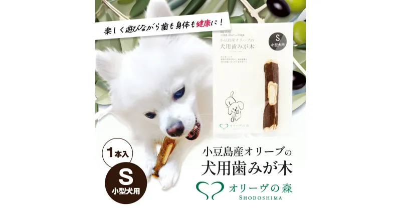 【ふるさと納税】小豆島産オリーブの犬用はみが木　S(小型犬用)　1本入　 雑貨 ペット用品 犬用 ワンちゃん用 愛犬用 歯磨き オーラルケア 歯垢 臭い 口臭予防 自然素材