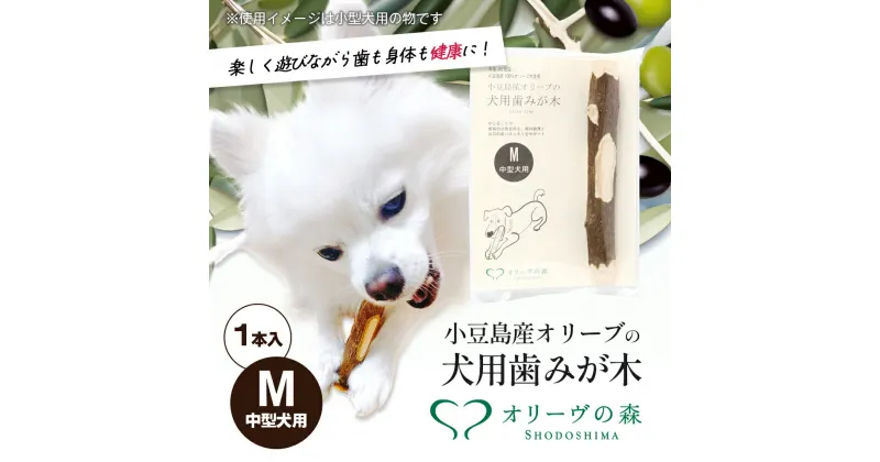 【ふるさと納税】小豆島産オリーブの犬用はみが木　M(中型犬用)　1本入　 雑貨 ペット用品 犬用 ワンちゃん用 愛犬用 歯磨き オーラルケア 歯垢 臭い 口臭予防 自然素材