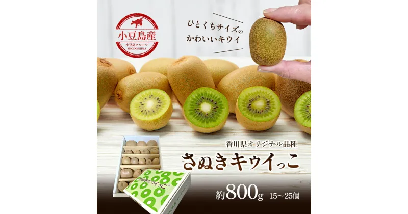 【ふるさと納税】小豆島さぬきキウイっこ 約800g　お届け：2024年11月下旬～12月下旬