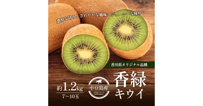 【ふるさと納税】香緑キウイ　約1.2kg　お届け：2024年12月上旬～2025年2月下旬