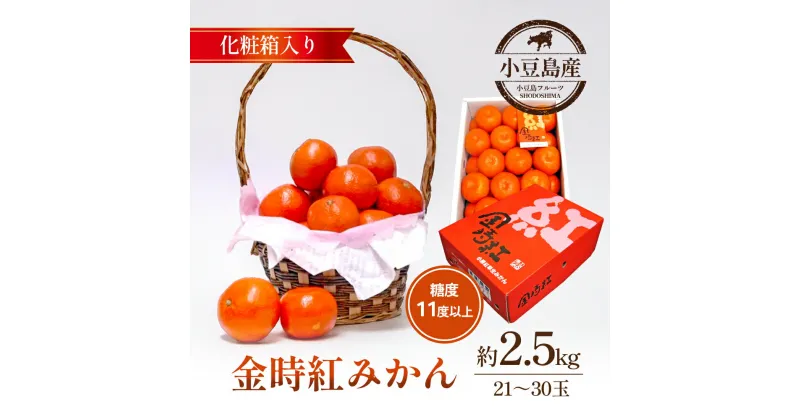 【ふるさと納税】金時紅みかん　約2.5kg化粧箱　お届け：2024年11月下旬～12月下旬