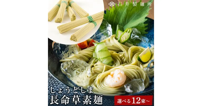 【ふるさと納税】【石井製麺所】しょうどしま長命草そうめん 12束 ～ 36束 | 小豆島 そうめん そーめん 麺 めん 麺類 野菜 やさい 健康 お取り寄せ グルメ 人気 おすすめ 香川県