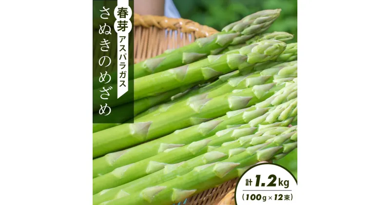 【ふるさと納税】春芽アスパラガス「さぬきのめざめ」(100g×12束)