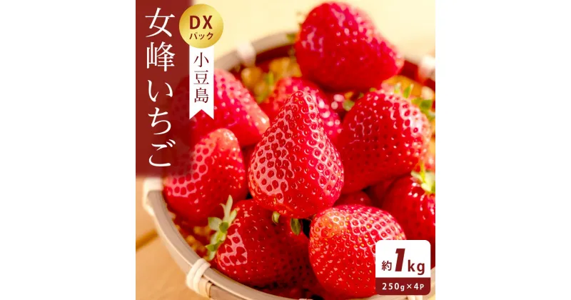 【ふるさと納税】小豆島女峰いちご DXパック 約250g×4パック (1kg)