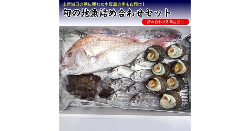 【ふるさと納税】小豆島から直送！朝獲れ鮮魚 旬の地魚詰め合わせ 2.5kg以上