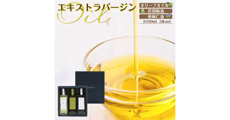 【ふるさと納税】エキストラバージン（EXV）オリーブオイル・荏胡麻油・亜麻仁油100ml3本入 | 油 あぶら 食品 加工食品 人気 おすすめ 送料無料