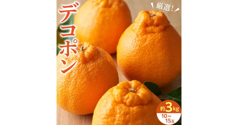 【ふるさと納税】厳選！濃厚甘味の「デコポン」約3kg（10～15玉） | フルーツ 果物 くだもの 食品 人気 おすすめ 送料無料