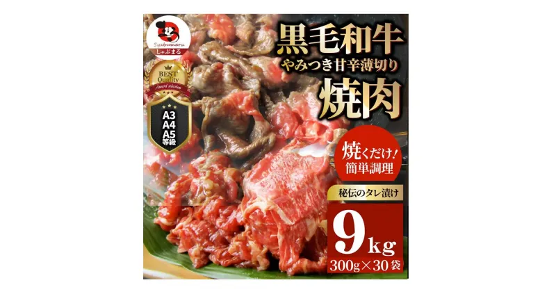 【ふるさと納税】1131-6　とろける黒毛和牛リッチな薄切り焼肉9kg(300g×30P) 秘伝のタレ漬け