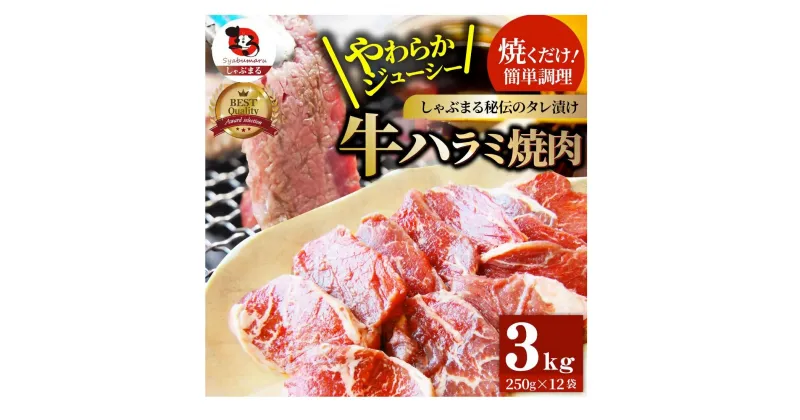 【ふるさと納税】1132-5　やわらか牛ハラミ焼肉 秘伝のタレ漬け3kg(250g×12P)