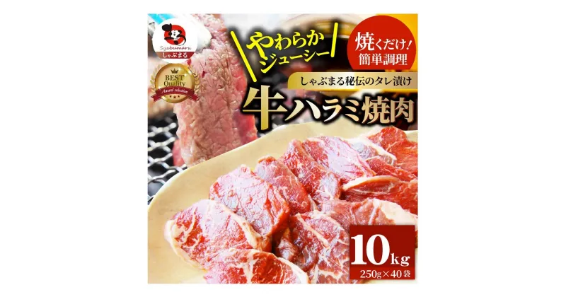 【ふるさと納税】1132-7　やわらか牛ハラミ焼肉 秘伝のタレ漬け10kg(250g×40P)