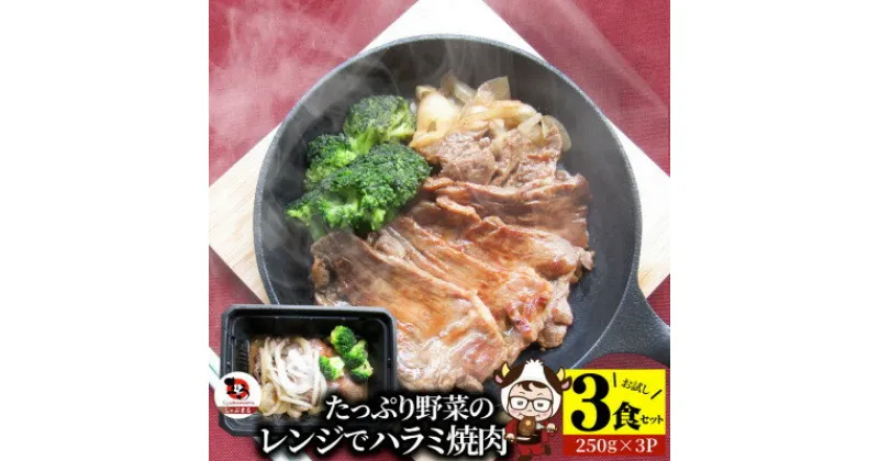 【ふるさと納税】1165-1　レンジで簡単ハラミ焼肉 250g×3食セット (総重量750g)野菜入り