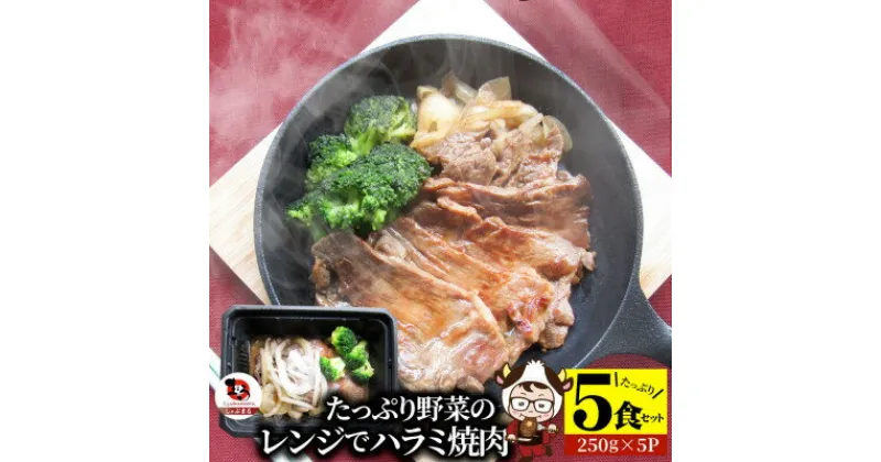 【ふるさと納税】1165-2　レンジで簡単ハラミ焼肉 250g×5食セット (総重量1.25kg)野菜入り