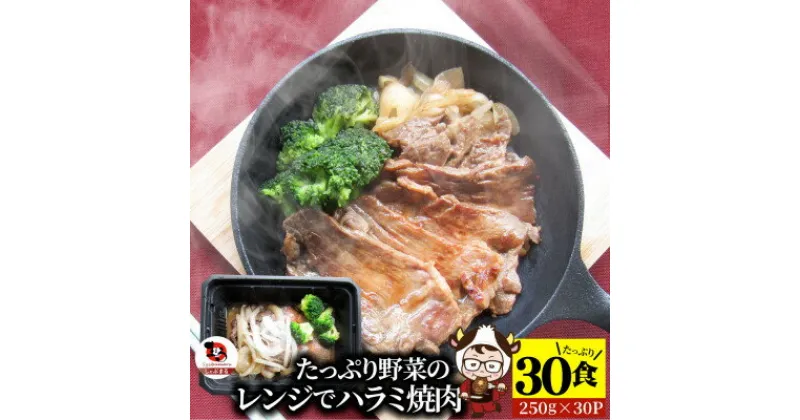 【ふるさと納税】1165-6　レンジで簡単ハラミ焼肉 250g×30食セット (総重量7.5kg)野菜入り