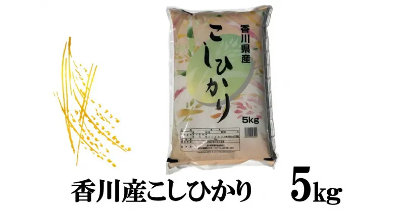 【ふるさと納税】995　令和6年産香川県産こしひかり　5kg　紙袋配送