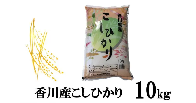 【ふるさと納税】996　令和6年産香川県産こしひかり　10kg×1　紙袋配送