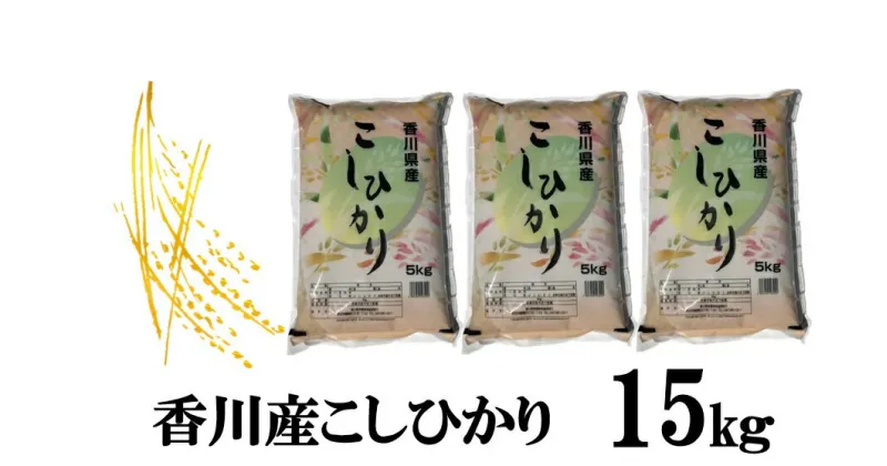 【ふるさと納税】893　令和6年産香川県産こしひかり　5kg×3　紙袋配送