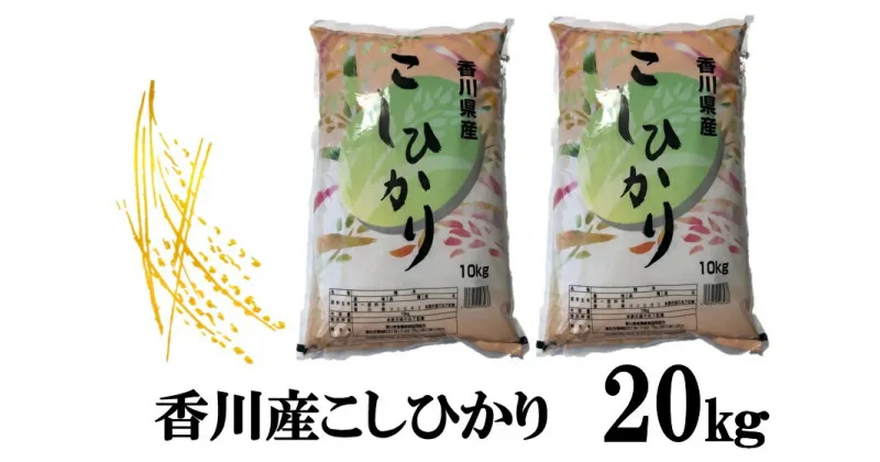 【ふるさと納税】896　令和6年産香川県産こしひかり　10kg×2　紙袋配送