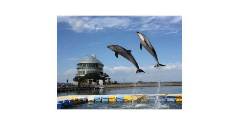 【ふるさと納税】「瀬戸・たかまつネットワーク」香川県　(さぬき市・三木町・東かがわ市方面)　2日間【1280372】