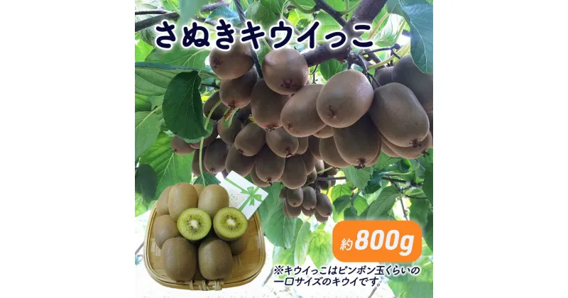 【ふるさと納税】さぬきキウイっこ　約800g_キウイフルーツ　果物詰合せ・フルーツ・くだもの　お届け：2024年11月中旬～12月下旬頃※状況によって期間通りお届けできない場合もあります。