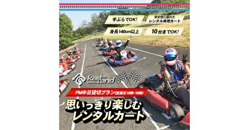 【ふるさと納税】思いっきり楽しむレンタルカート　PM半日貸切プラン(営業日13時～16時　10台まで)　 体験 チケット レジャー レンタルカート サーキット レーシング カート 大人 子供 最高速度60～70km カートランド四国