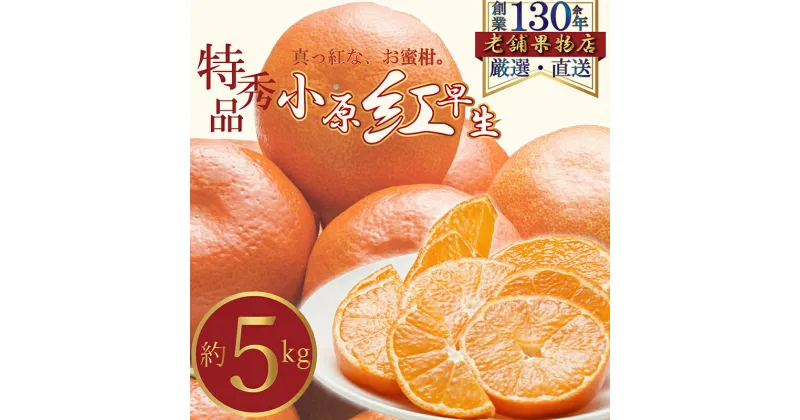 【ふるさと納税】特秀品！真っ赤なお蜜柑「小原紅早生」　約5kg　綾川町　お届け：2024年12月上旬～2025年1月下旬