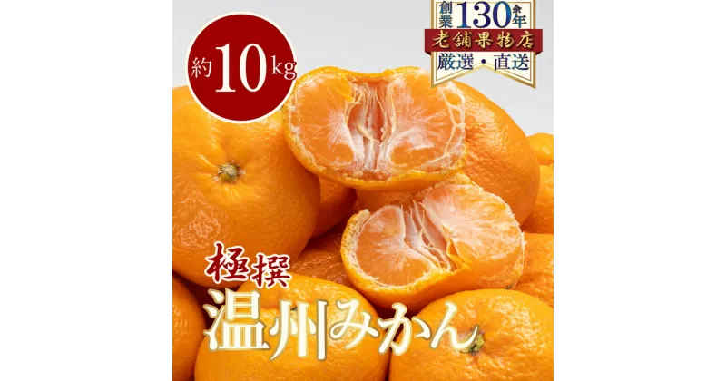 【ふるさと納税】極撰！温州みかん　約10kg　綾川町　お届け：2024年11月中旬～2025年1月下旬